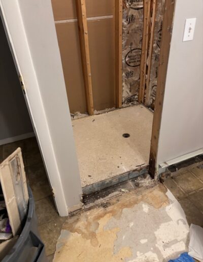 Mold Testing