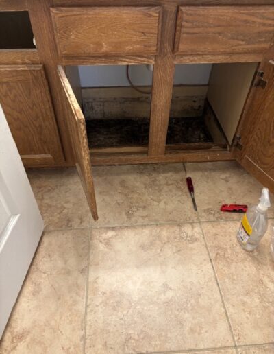 Mold Testing